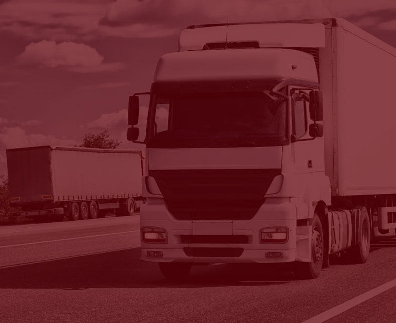 Sobre a Rápido Conexão Transportes